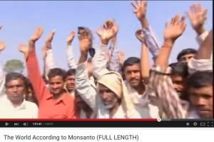 Indijski mali kmetje so bili vprašani ali bodo naslednje leto nehali sejati gensko spremenjen bombaž. Okoli 100 zbranih je takoj dvignilo roko v pritrditev.